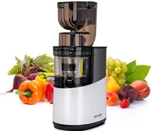 https://www.electroguide.com/wp-content/uploads/2022/02/extracteur-de-jus-biochef-atlas-300x259.jpg