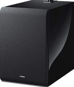 https://www.electroguide.com/wp-content/uploads/2023/12/yamaha-ns-nsw100-1-1.jpg
