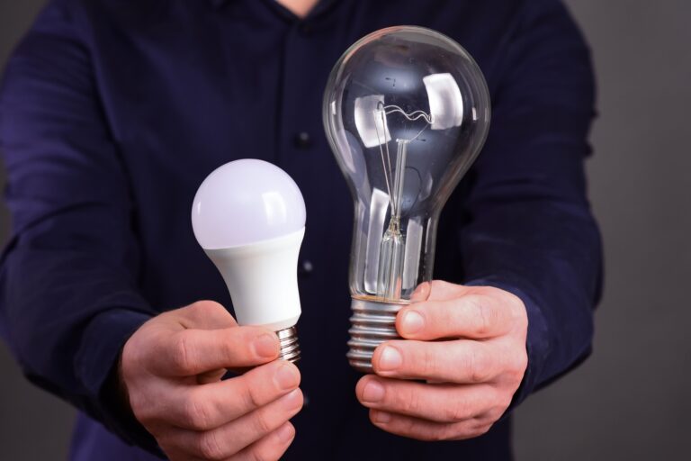 incandescent lamp and LED lamp.