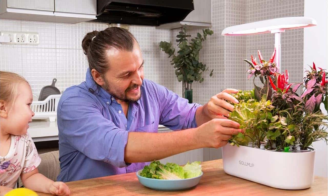 Un homme qui montre un potager d'intérieur à une petite fille.