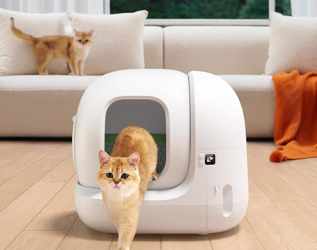 Un chat roux qui sort d'un bac à litière dans un salon moderne.