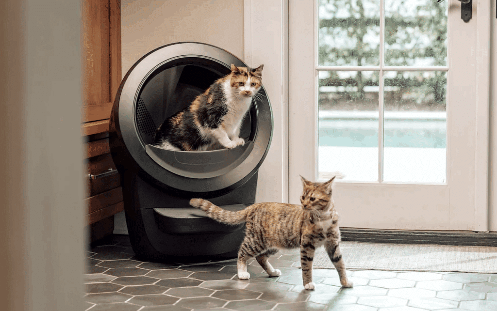 Deux chats à côté d'un bac à litière connecté.
