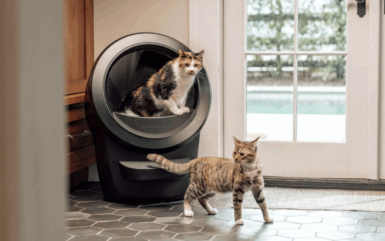 Deux chats à côté d'un bac à litière connecté.