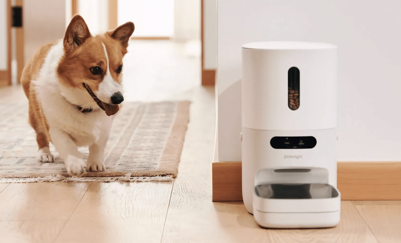 Un petit chien qui se dirige vers son distributeur de croquettes.