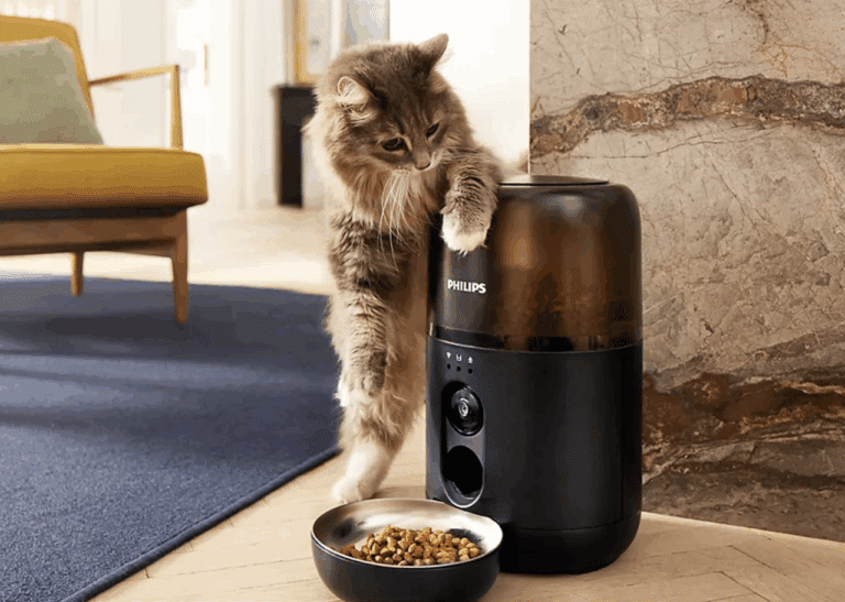 Un chat qui se tient sur un distributeur de croquettes automatique.