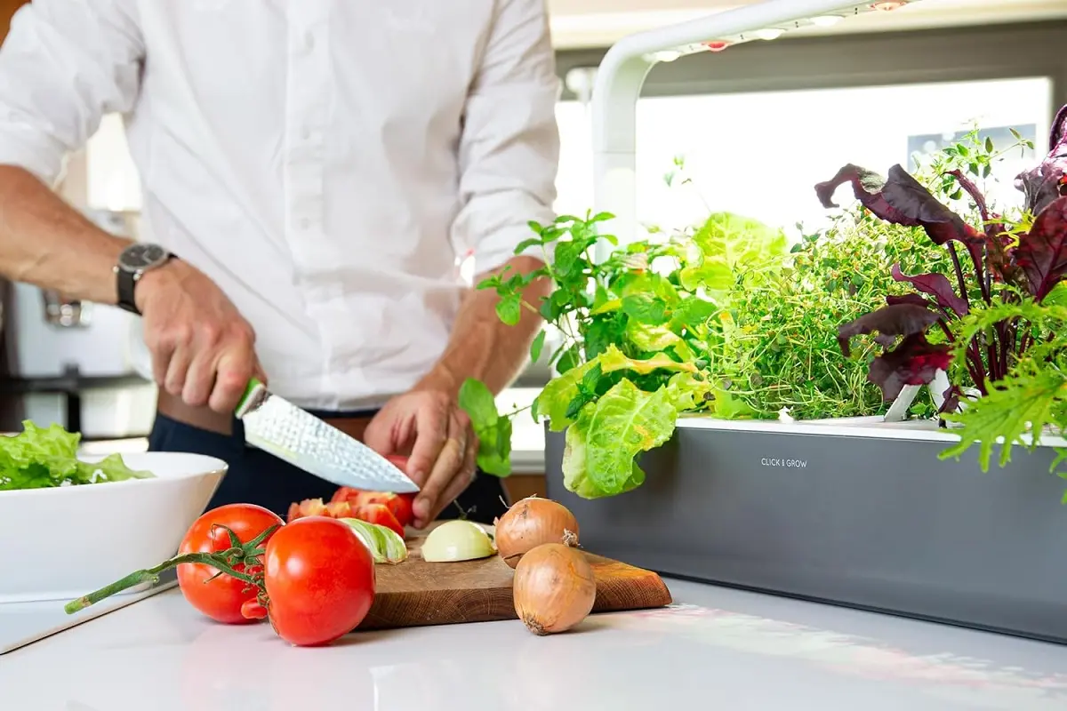 Le potager connecté Click & Grow Smart Garden sur le plan de travail d'une cuisine