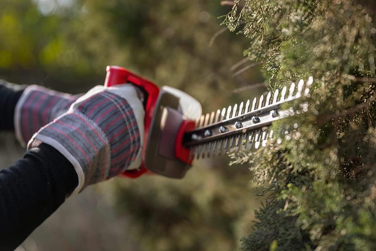 Zoom sur un taille-haie de la marque Greencut.