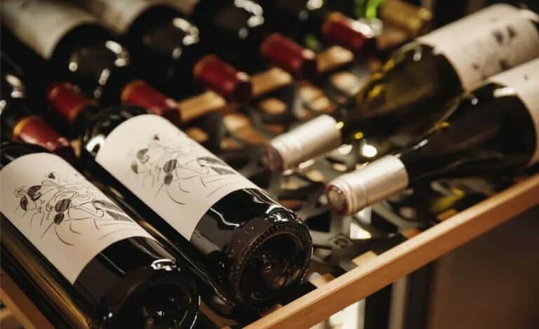 Des bouteilles de vin posées sur des clayettes d'une cave à vin Goguette.
