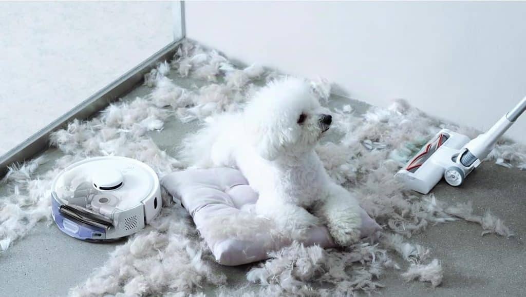 Zoom sur des aspirateurs SwitchBot en train de nettoyer des poils de chiens sur un sol dur.